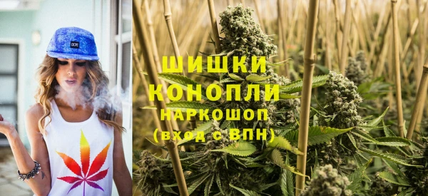PSILOCYBIN Семикаракорск