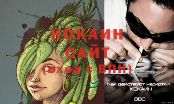 стафф Арсеньев