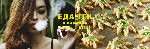 стафф Арсеньев