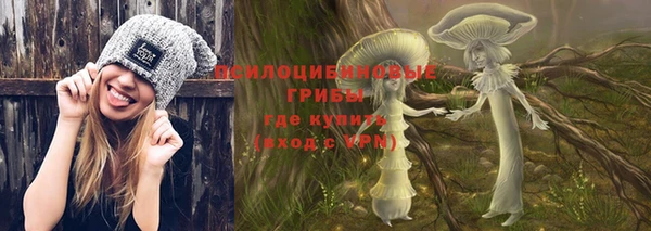 PSILOCYBIN Семикаракорск